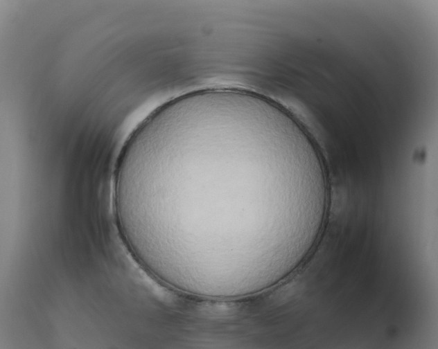 X0000112411286200908281806