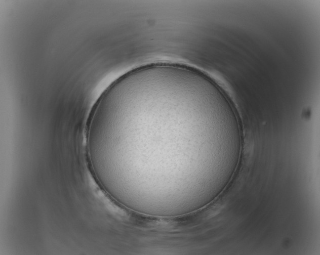 X0000112411287200908281806