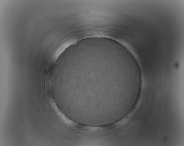 X0000112411289200908281805