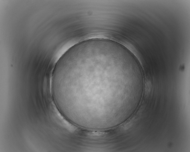 X0000112411290200908281805