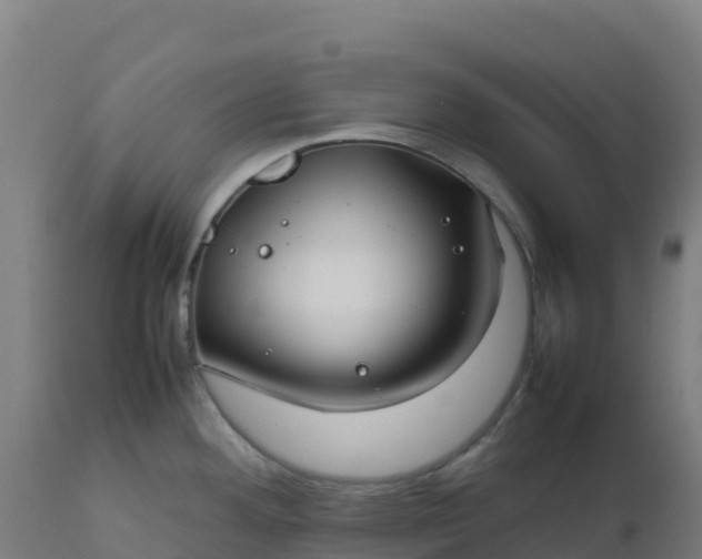 X0000112411292200908281805