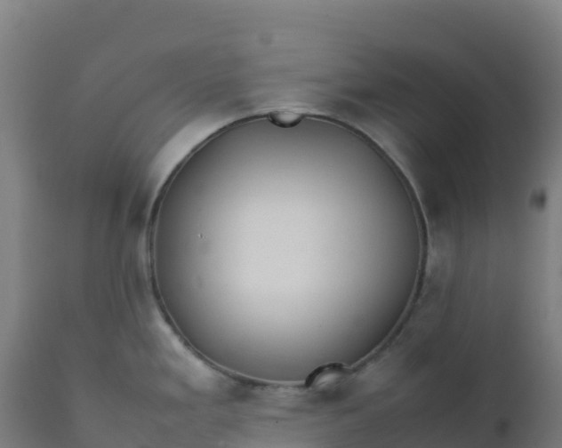 X0000112411293200908281805