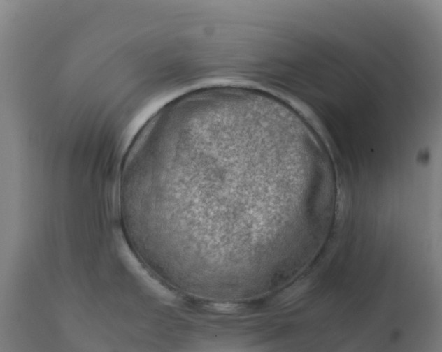 X0000112411295200908281805