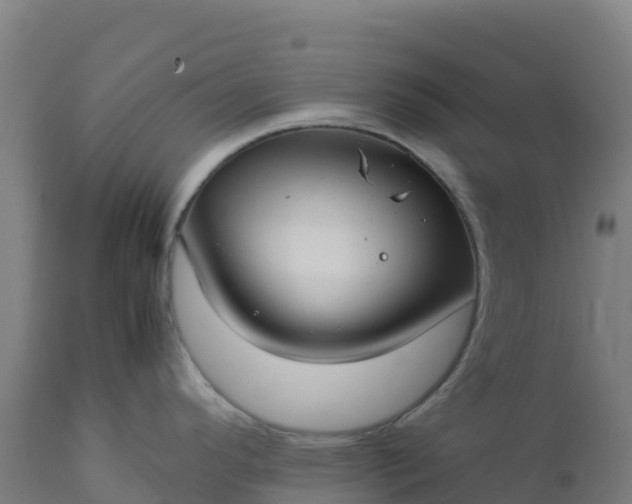 X0000112411296200908281805