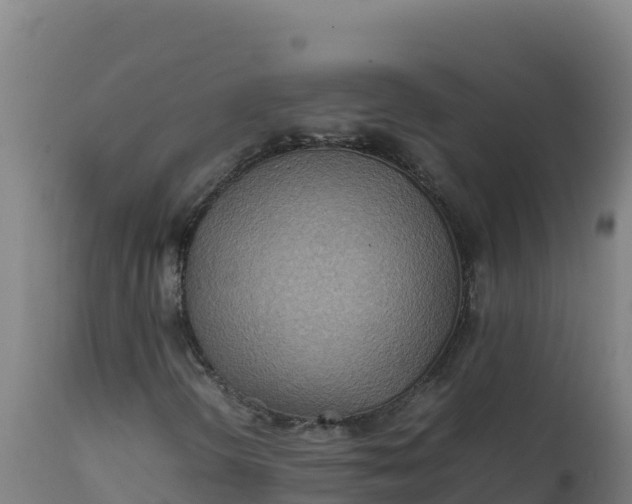 X0000112411298200908281805