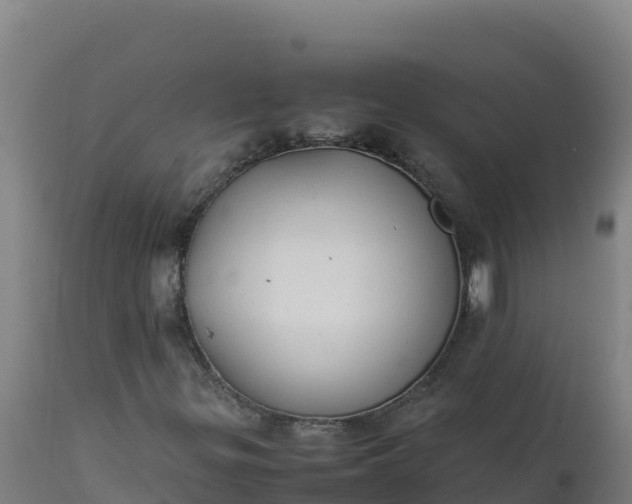 X0000112411299200908281805