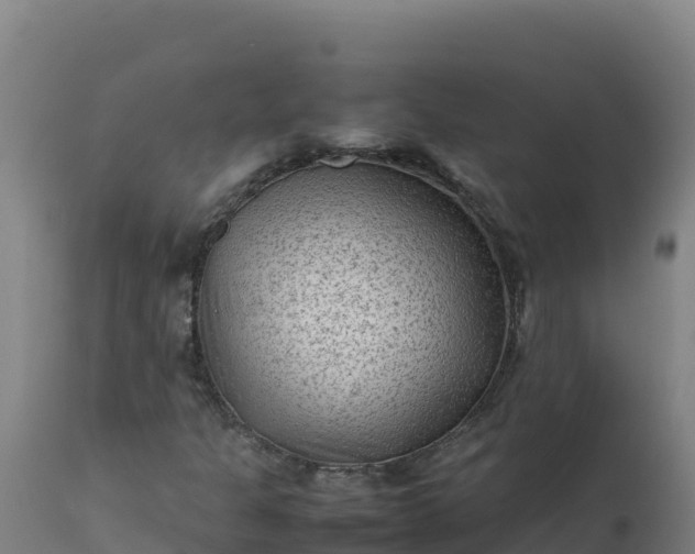 X0000112411301200908281805