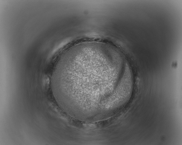 X0000112411302200908281805