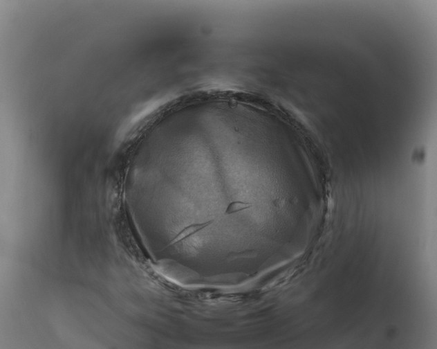 X0000112411303200908281805