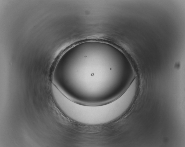 X0000112411308200908281805