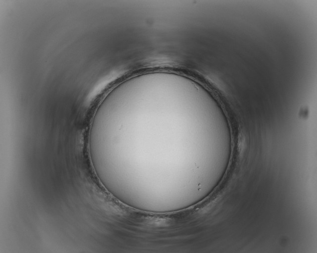 X0000112411309200908281805