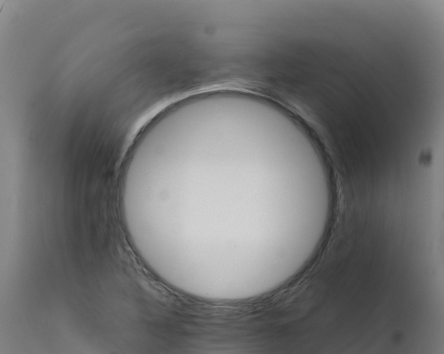 X0000112411316200908281805
