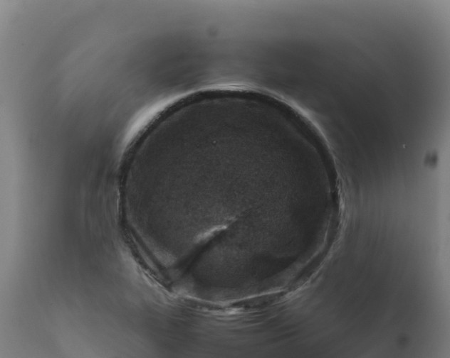 X0000112411319200908281805