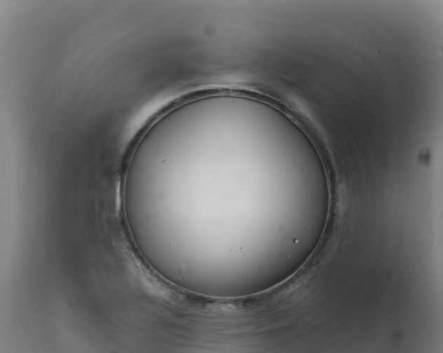 X0000112411320200908281805