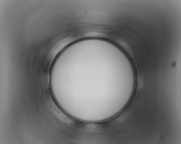 X0000112411322200908281805