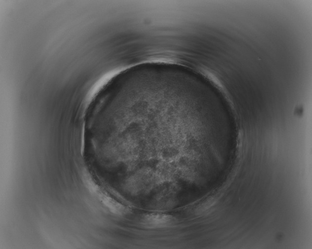 X0000112411323200908281805