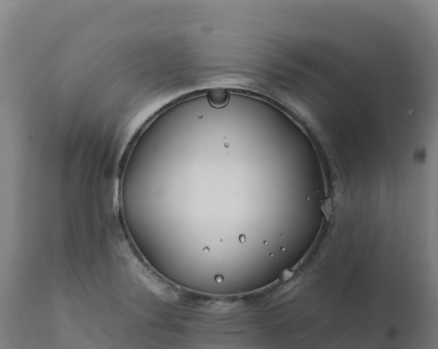 X0000112411324200908281805