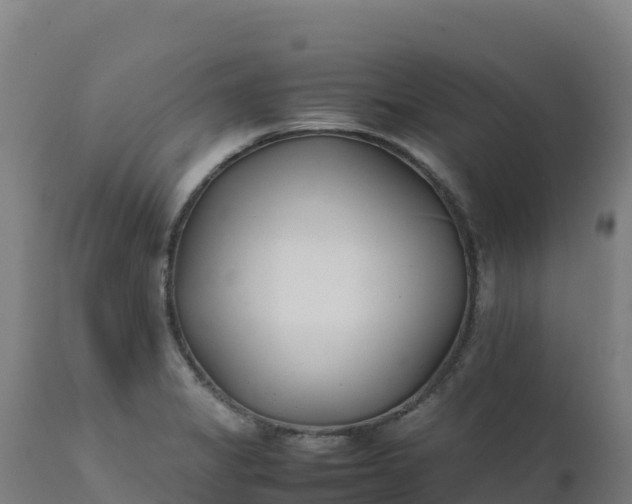 X0000112411325200908281805