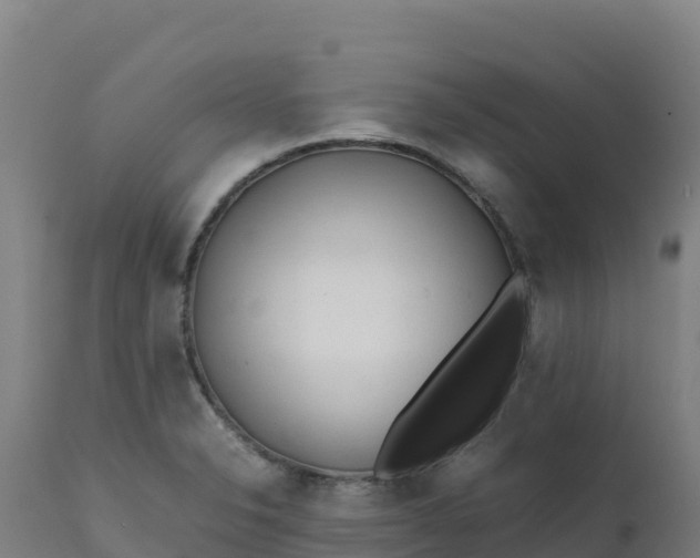 X0000112411326200908281805