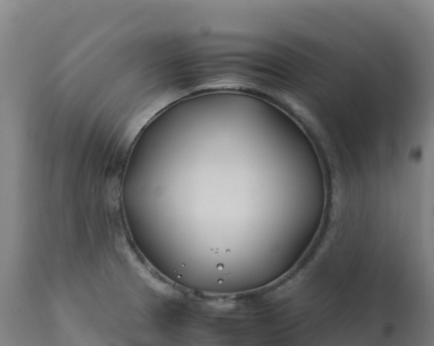 X0000112411329200908281805