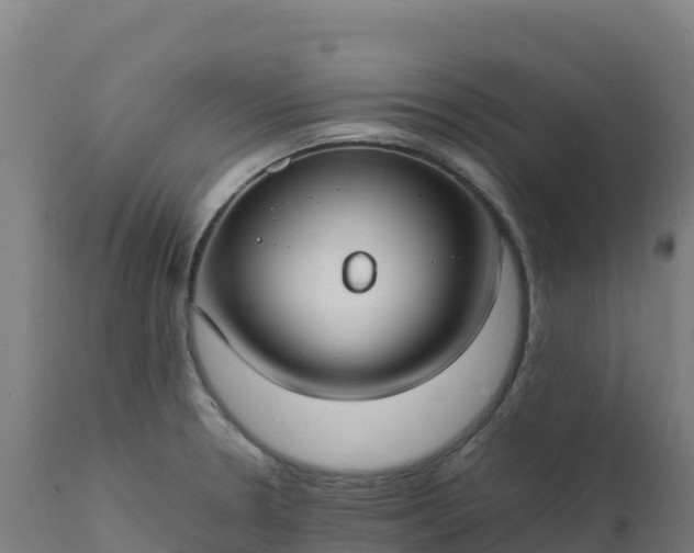 X0000112411330200908281805