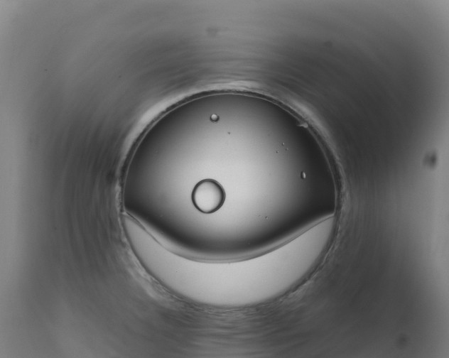 X0000112411332200908281805