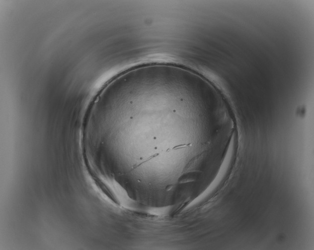 X0000112411334200908281805