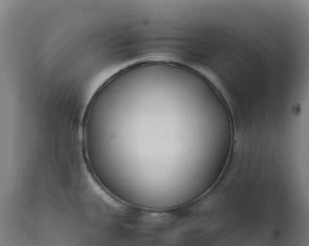 X0000112411335200908281805