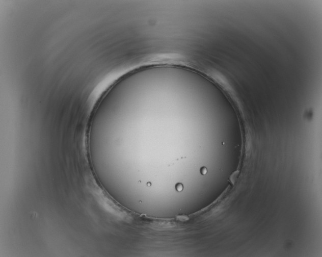 X0000112411336200908281805