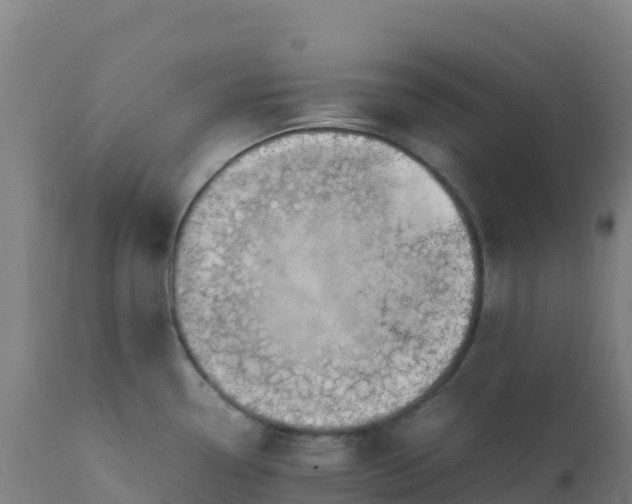 X0000112411338200908281805