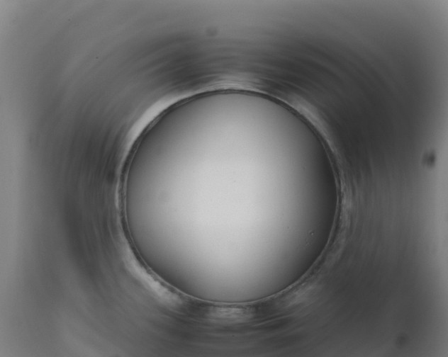 X0000112411339200908281805