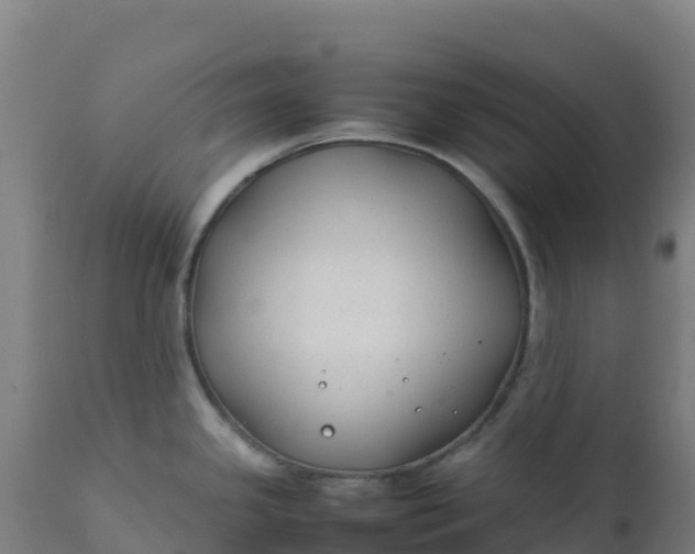 X0000112411341200908281805