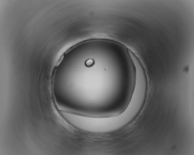 X0000112411342200908281805