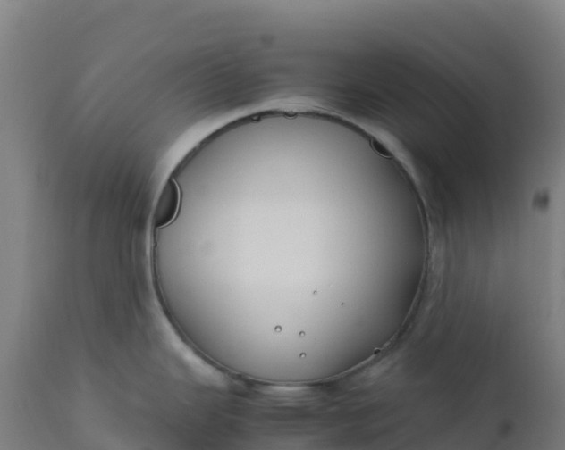 X0000112411343200908281805