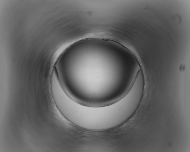 X0000112411344200908281805