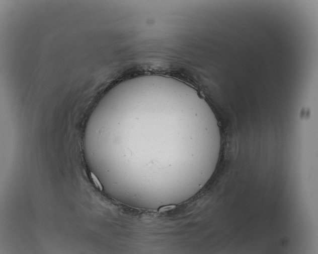 X0000112411345200908281805
