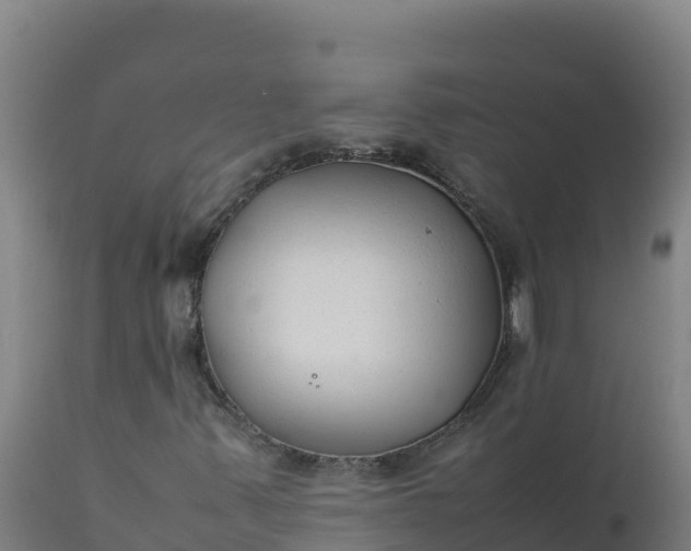X0000112411347200908281805