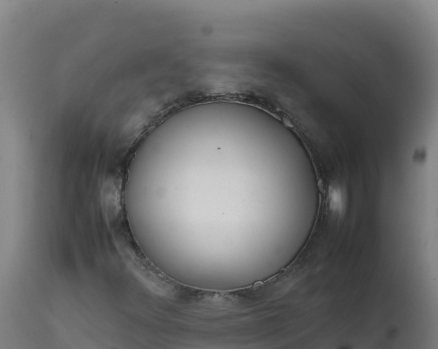 X0000112411348200908281805