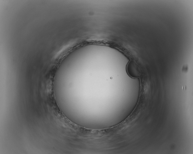 X0000112411350200908281805