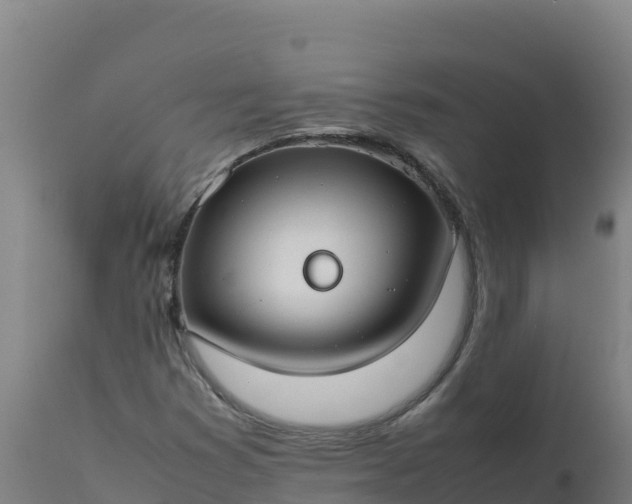 X0000112411353200908281805