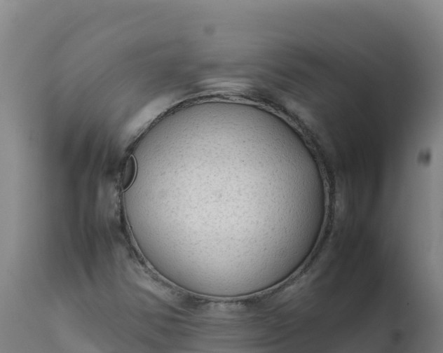 X0000112411354200908281805