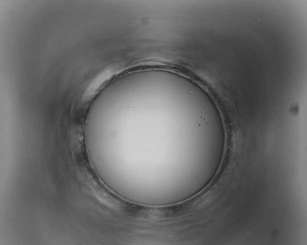 X0000112411355200908281804