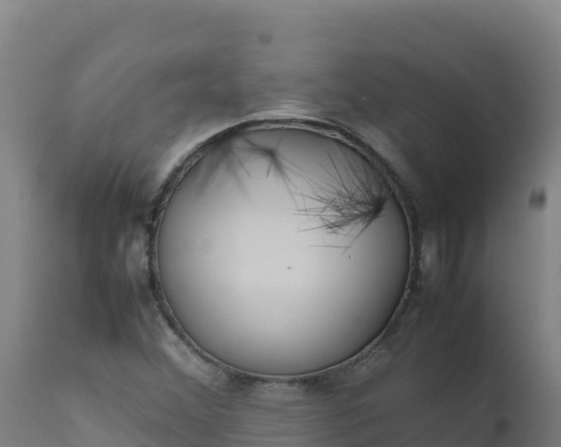 X0000112411356200908281804