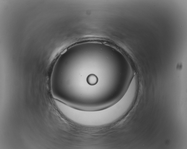 X0000112411357200908281804