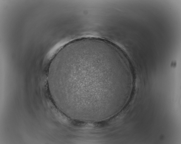 X0000112411359200908281804