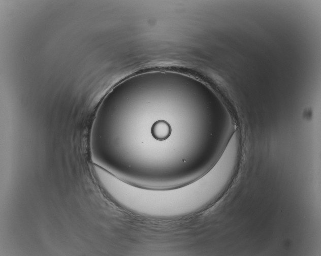 X0000112411361200908281804