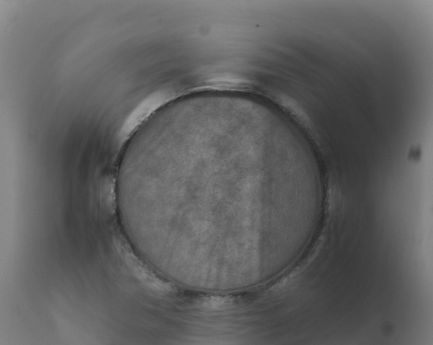 X0000112411362200908281804