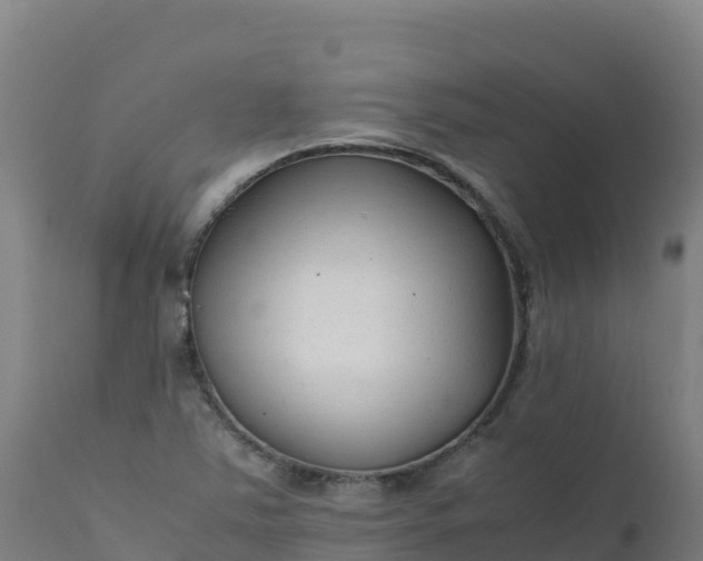 X0000112411363200908281804
