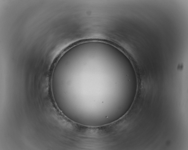 X0000112411364200908281804