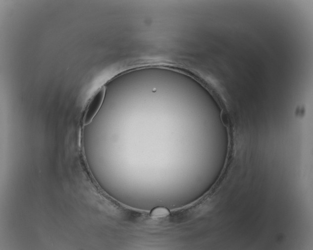 X0000112411365200908281804
